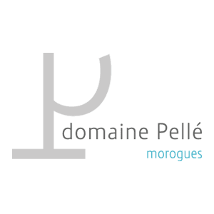Logo du Domaine Pellé, domaine viticole à Morogues - Appellation Menetou-Salon et Sancerre