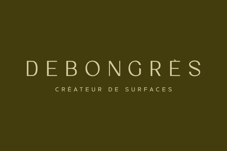 Les déclinaisons du logo Debongres