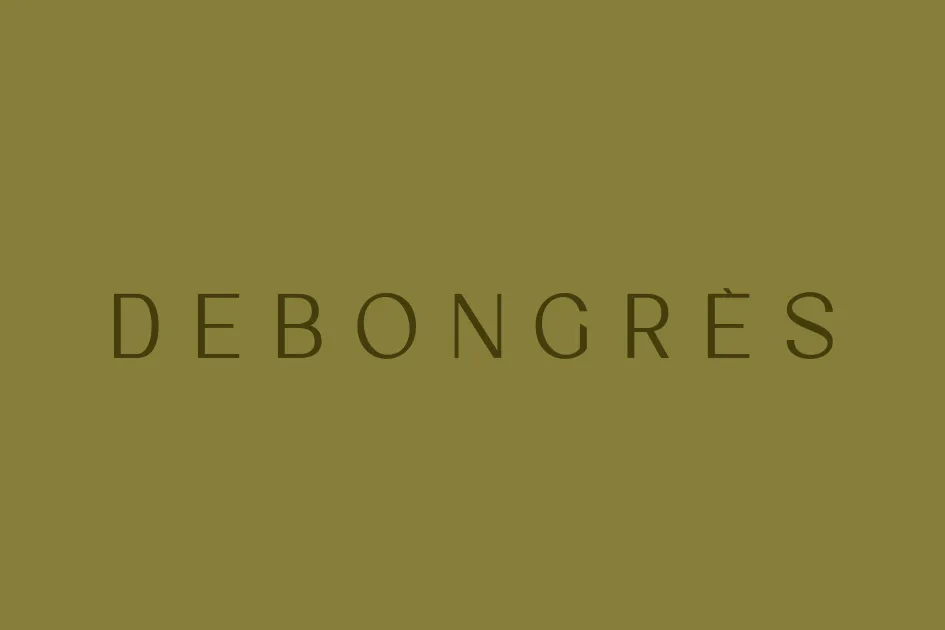 Les variations du logo Debongres selon les usages