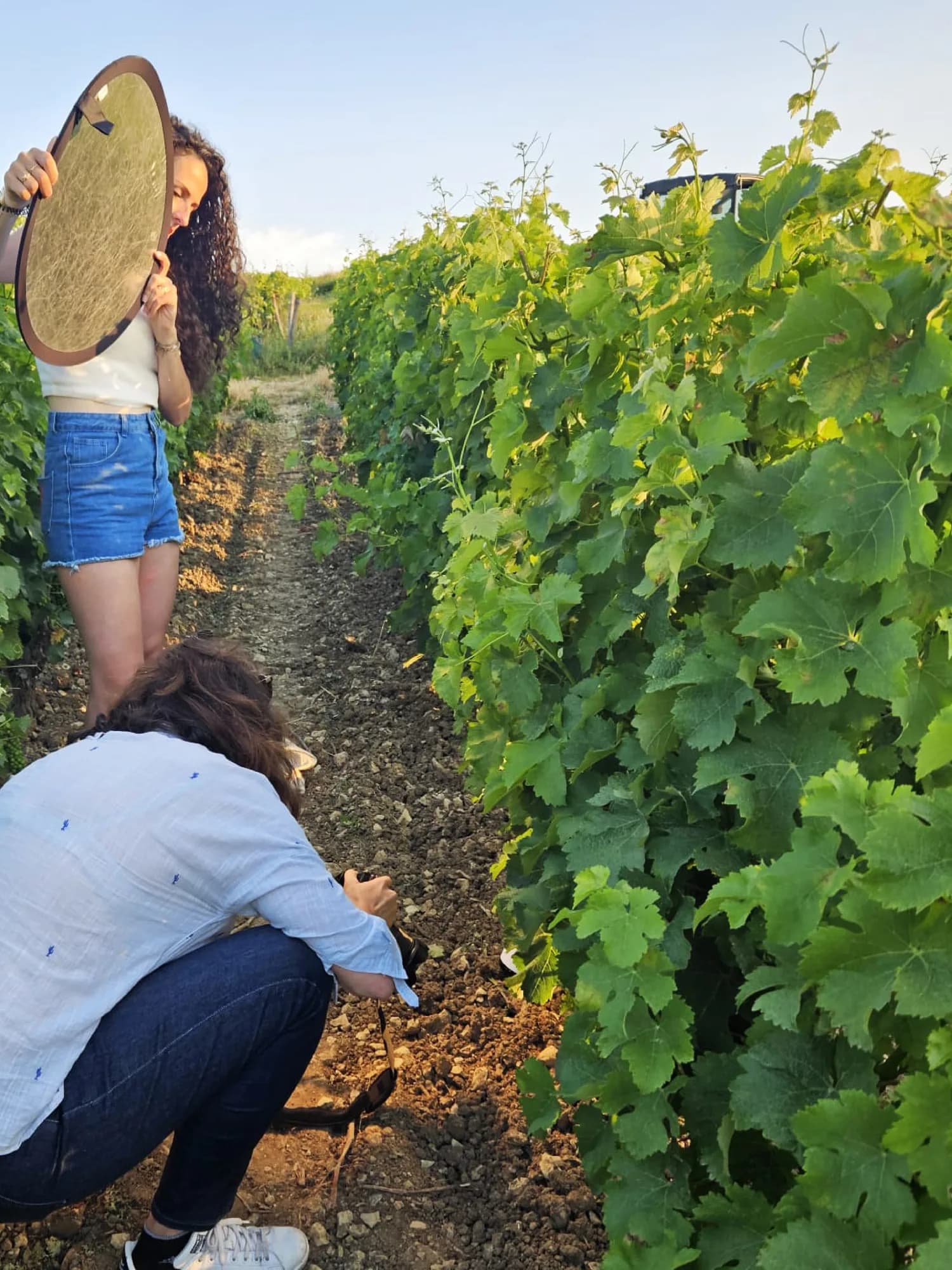 Préparation des prises de vue dans les vignes du Domaine du Pré Semelé
